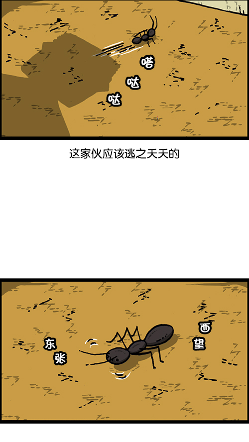 [第149话] 蚂蚁37