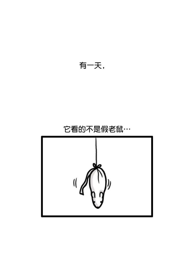 补充篇 [372话] 金正男的娱乐3