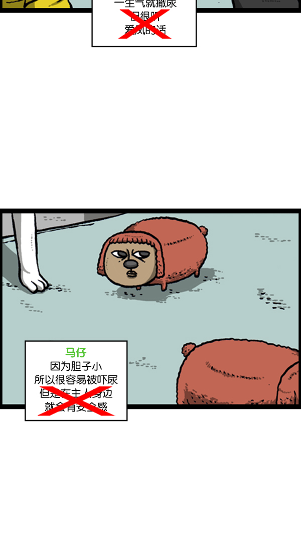 [第278话] 角斗士12