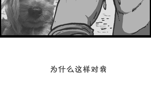 [第73话] 狗竞争20