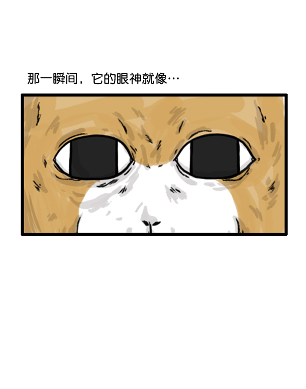 补充篇 [372话] 金正男的娱乐7