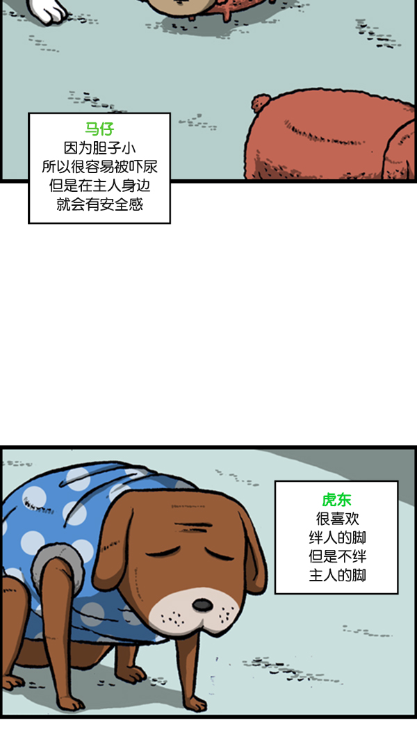 [第278话] 角斗士5