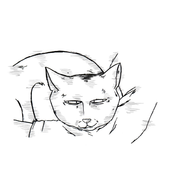补充篇 [382话] 奇妙的故事10