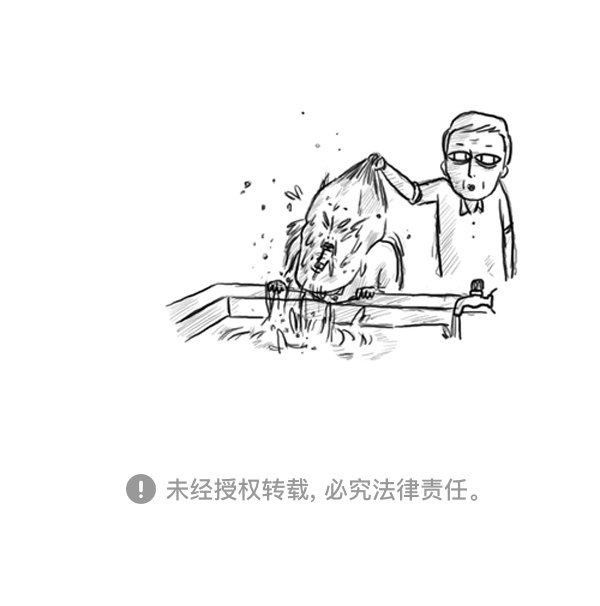补充篇 [373话] 嘻哈精神24