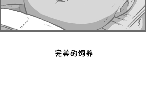 [第116话] 恐怖之虾59