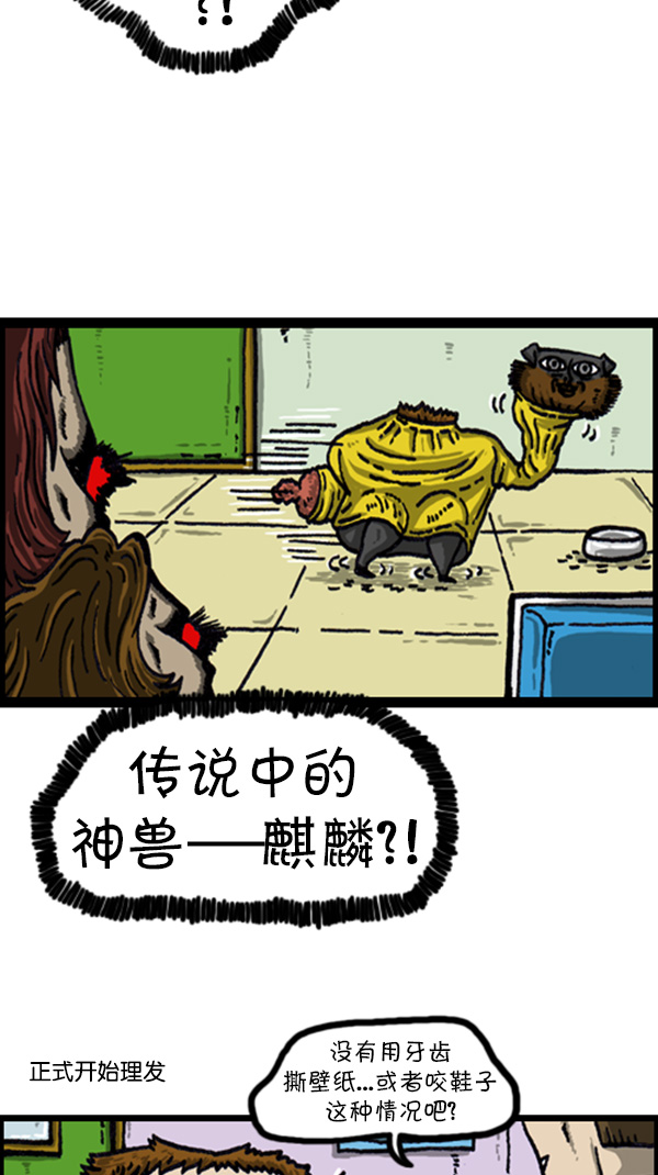 [第216话] 狗狗美容6