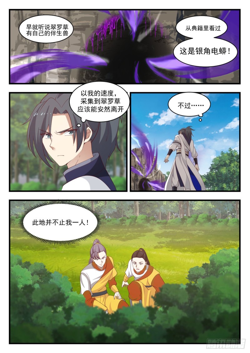 1091 翠罗草12
