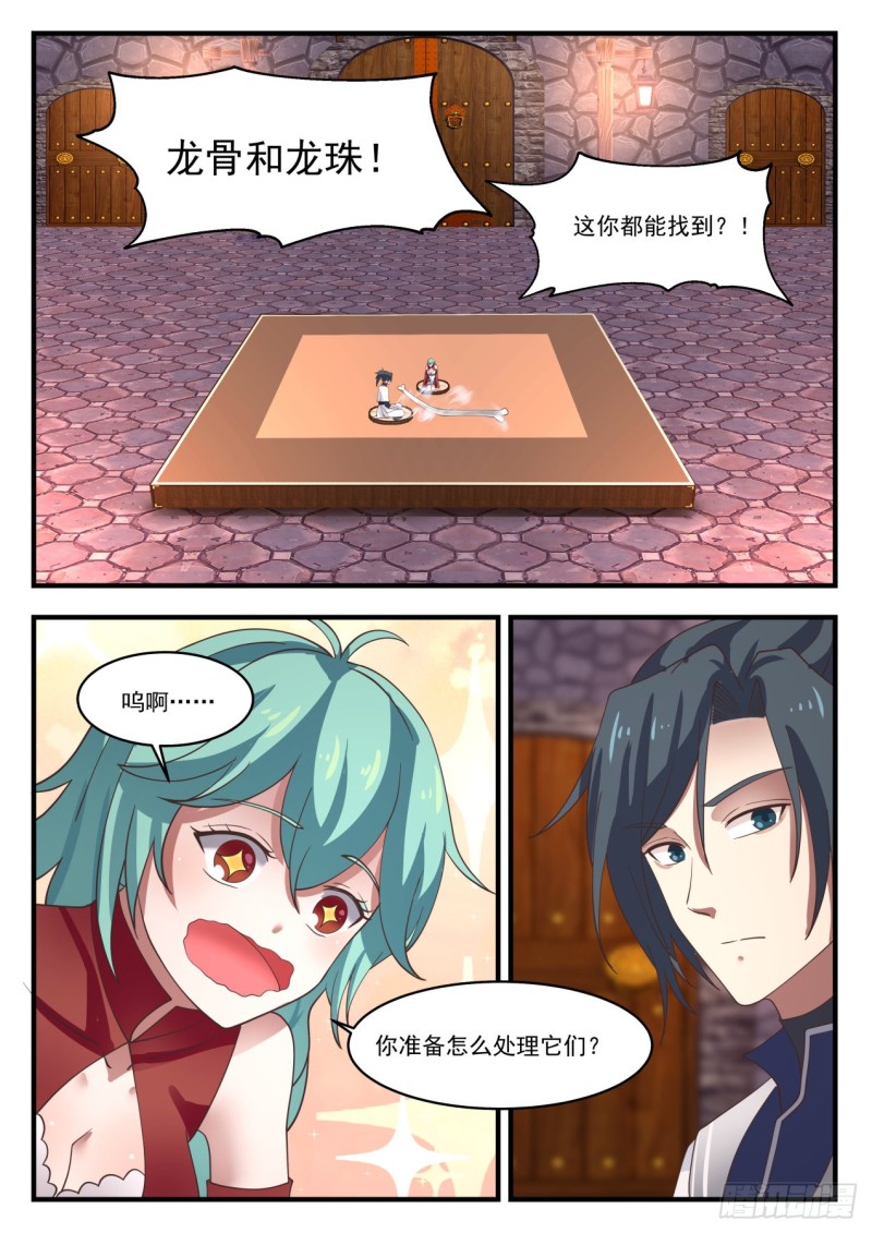 1163 血剑草种子12
