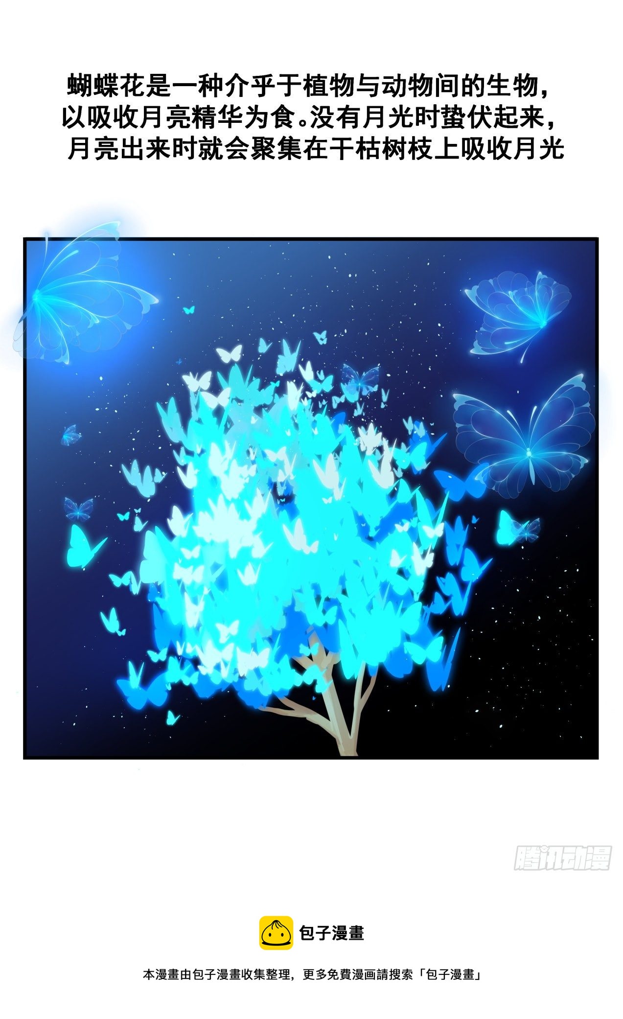 2156 番外篇-蝴蝶花13
