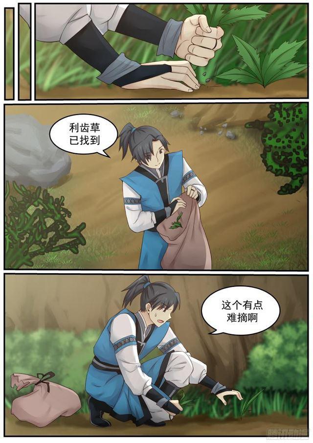 19 修炼用的草药10
