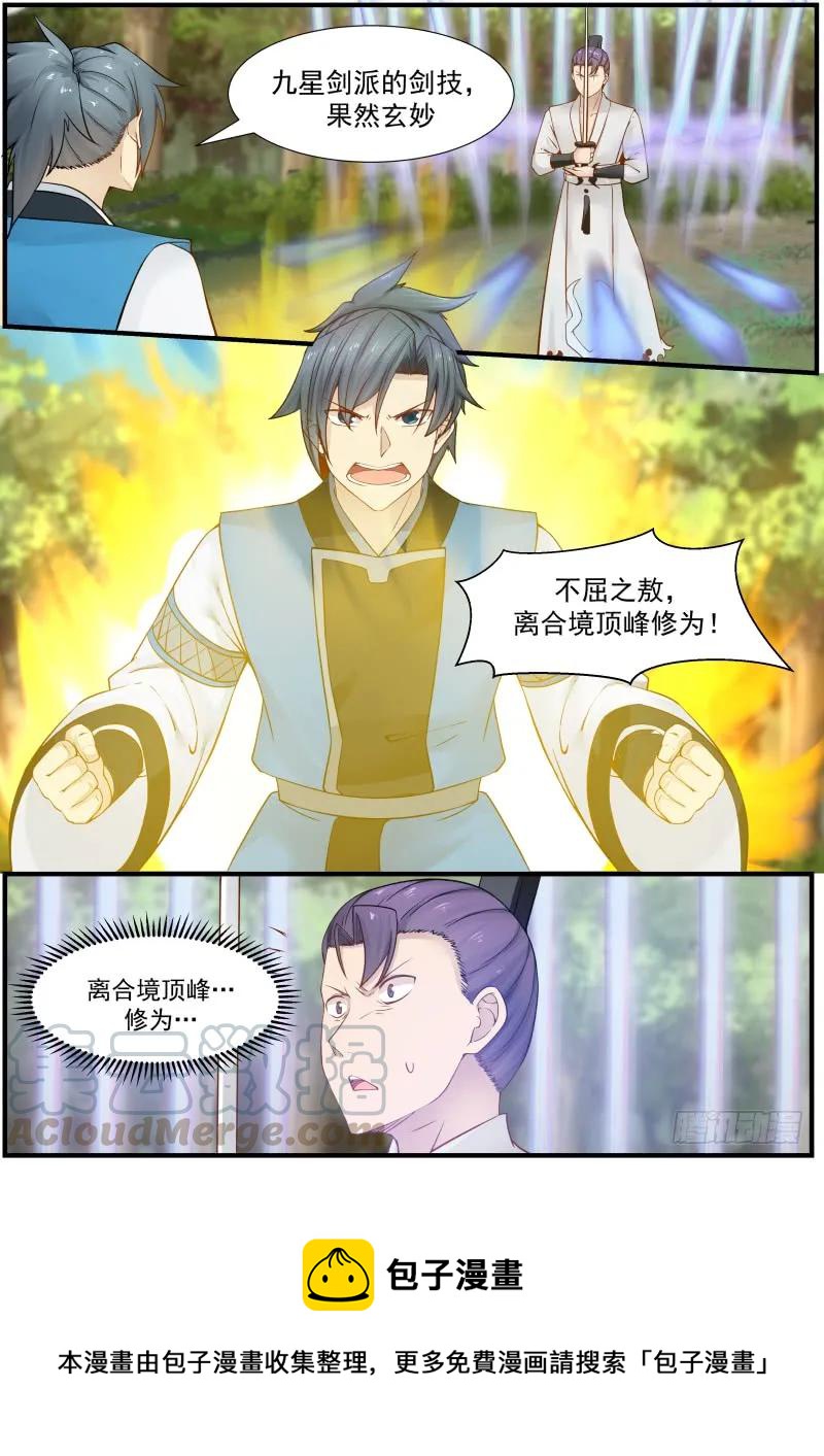 162 离合境顶峰修爲12