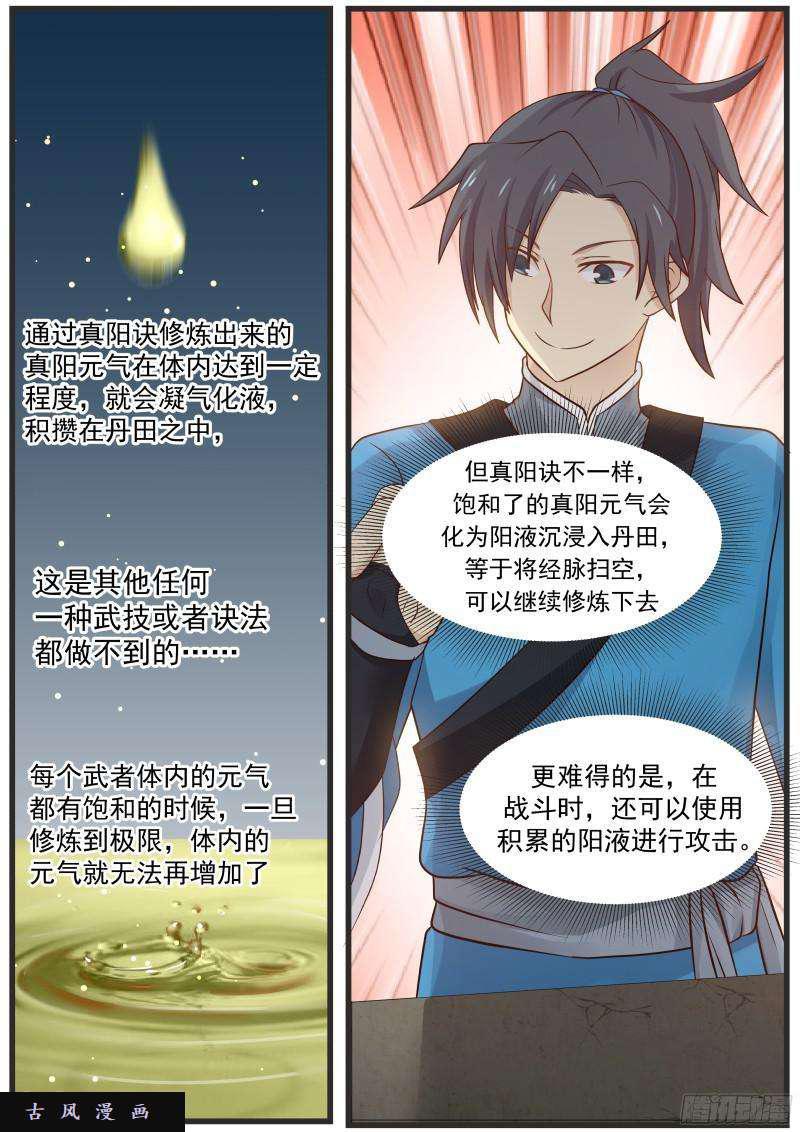 29 真阳诀7