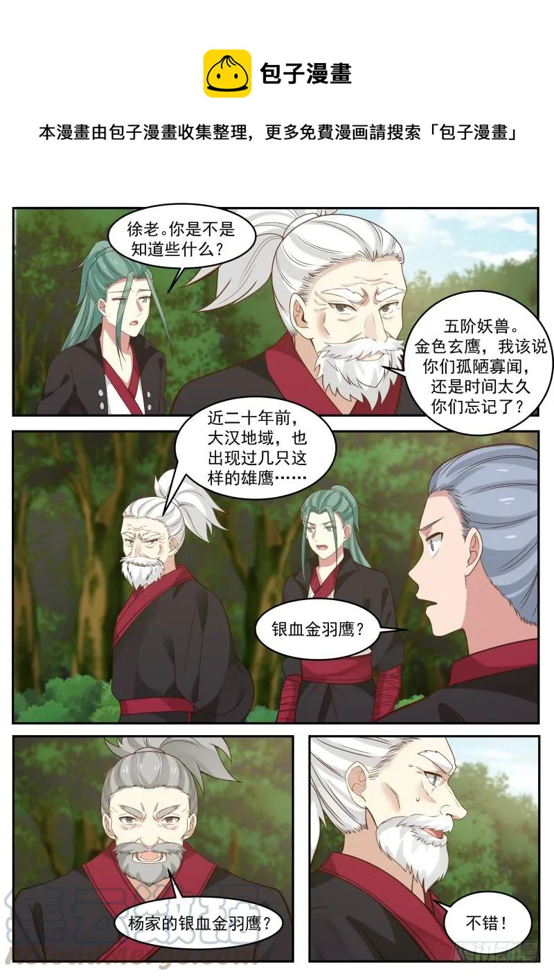 300 杨家银血金羽鹰6