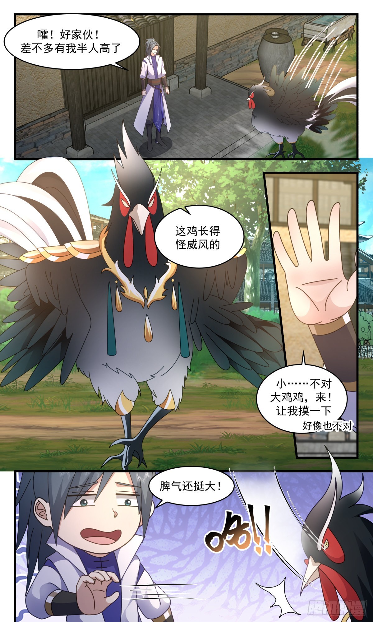 2585 火灵地篇-金鸡报晓2