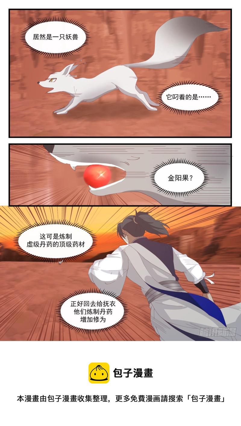1115 金阳果5
