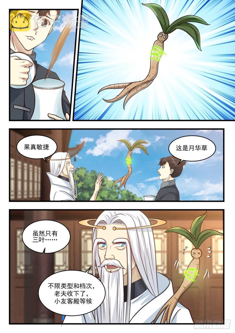 749 炼丹狂热4