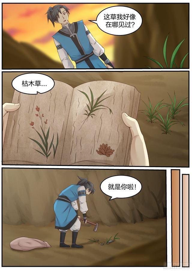 19 修炼用的草药12