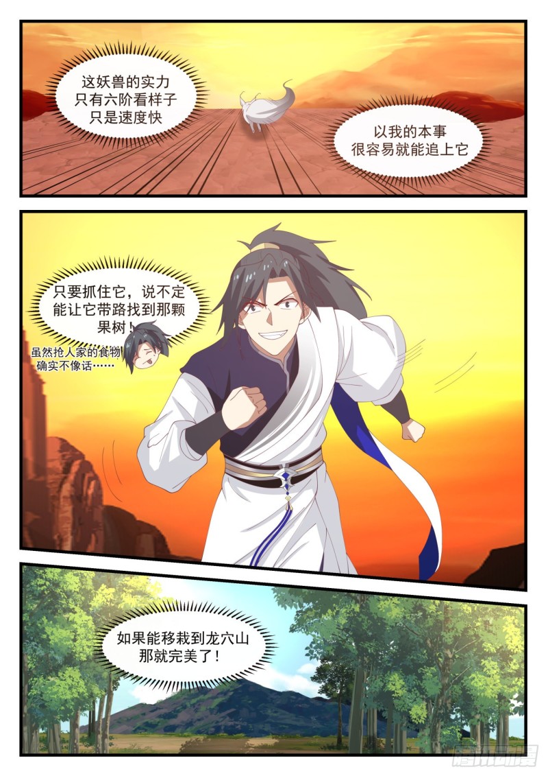 1115 金阳果6