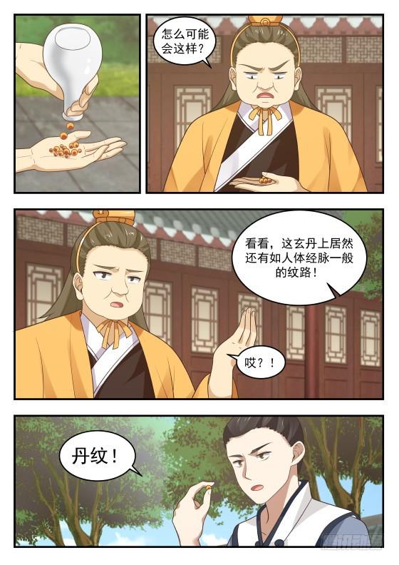 223 丹纹2