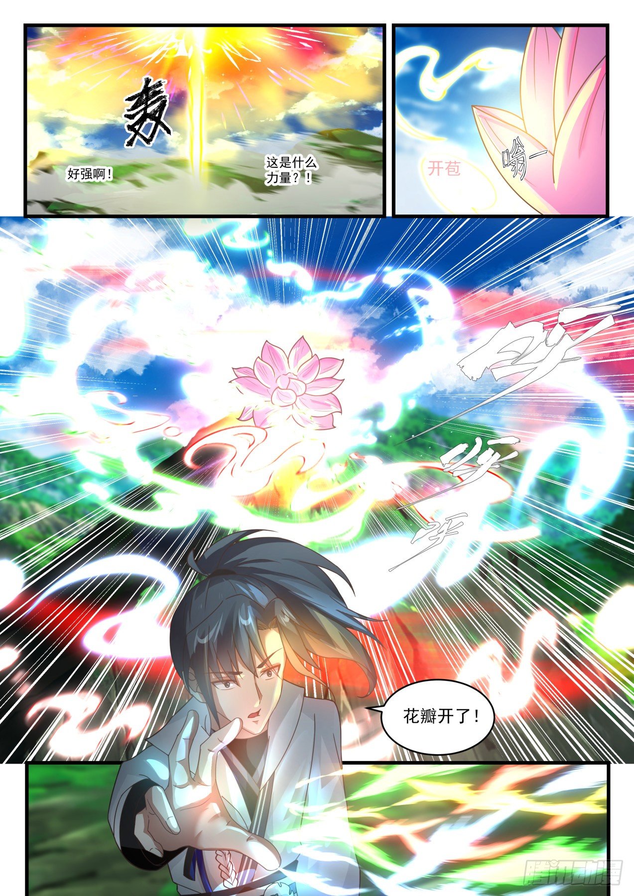 1761 花开12
