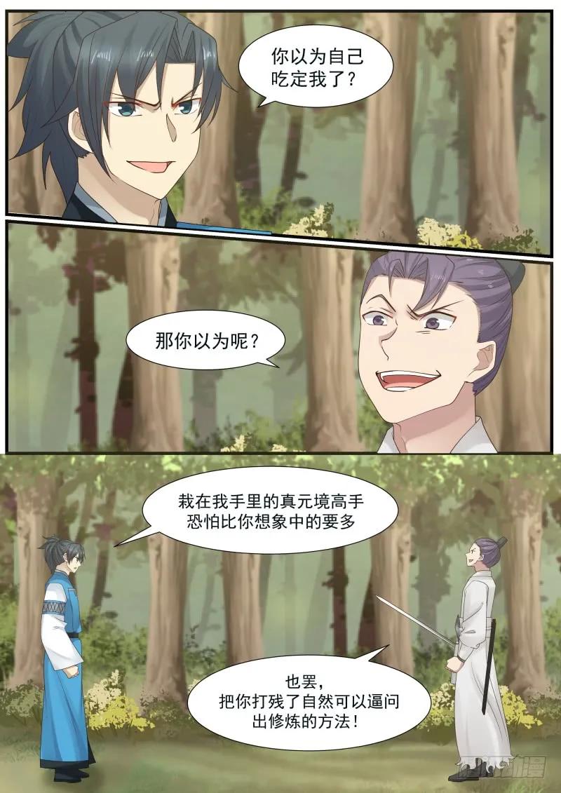 162 离合境顶峰修爲1