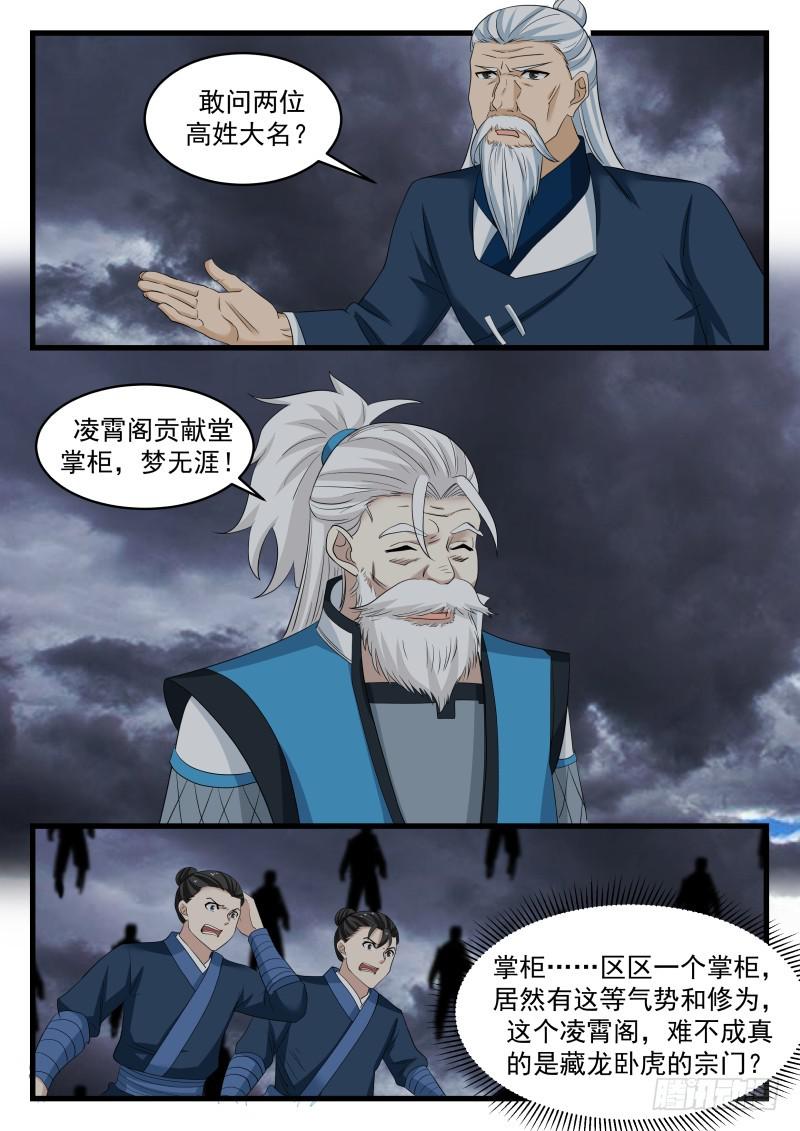 479 凌霄阁掌门，凌太虚！5