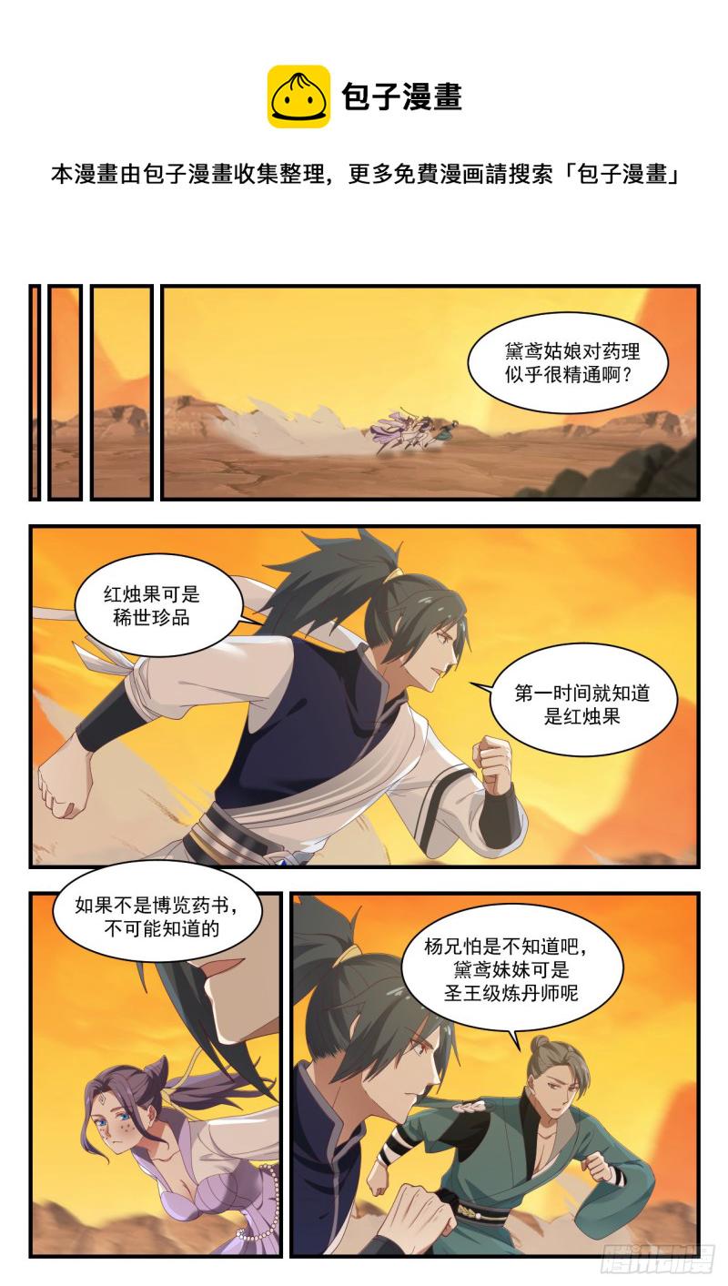 1123 红烛果11