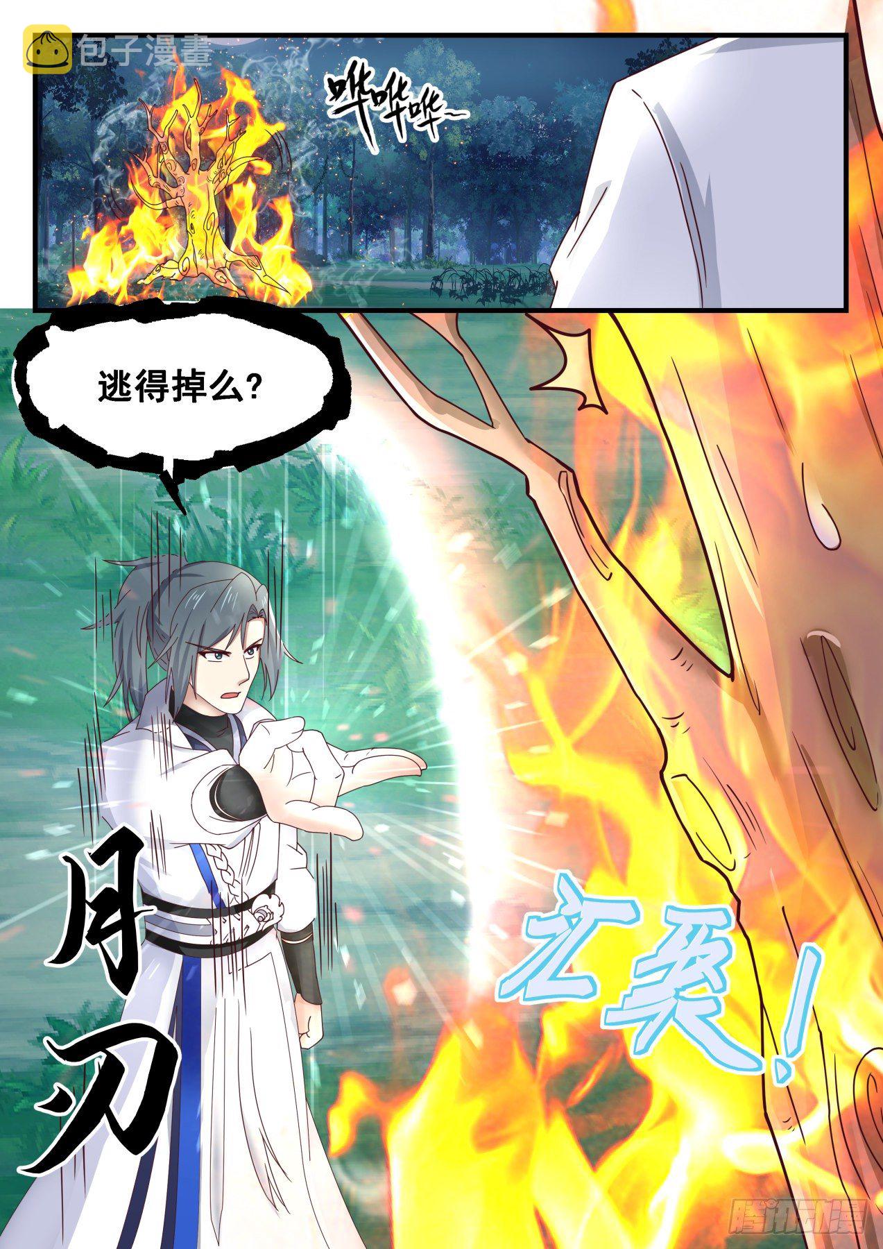 1639 木种6
