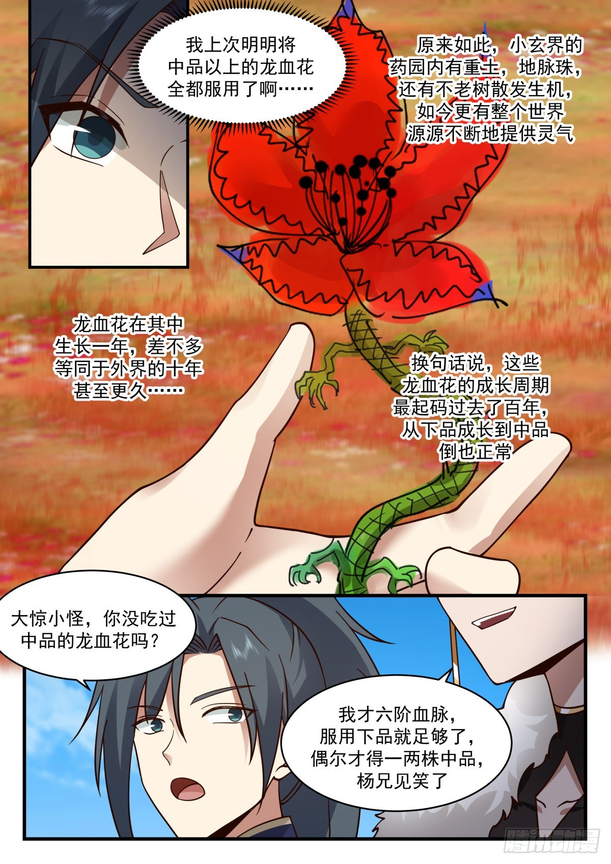 2305 东域篇---培育龙血花11