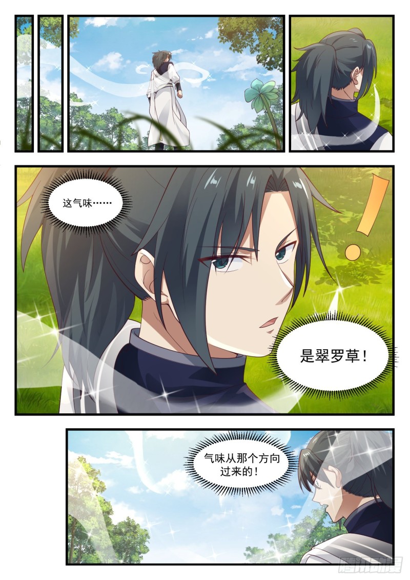 1091 翠罗草9