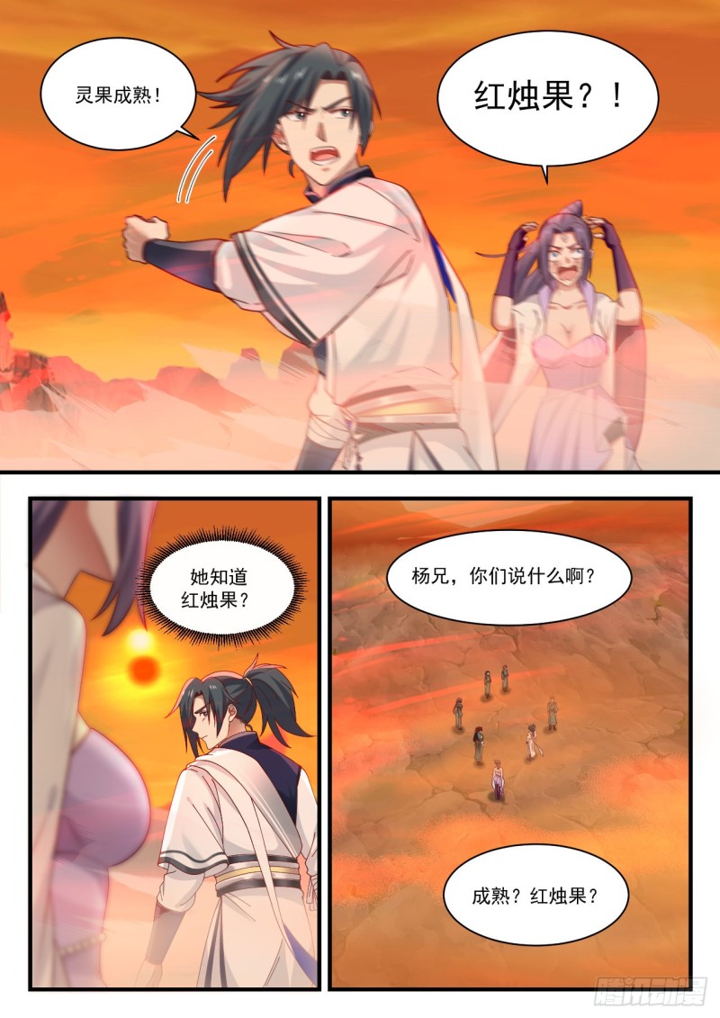 1123 红烛果4