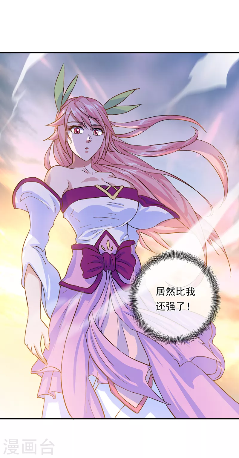 第306话 渡劫护法6