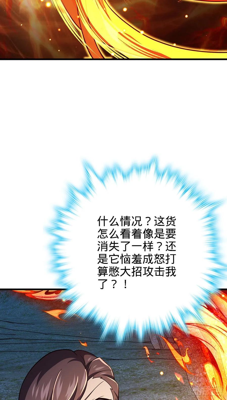 340 梧桐木60