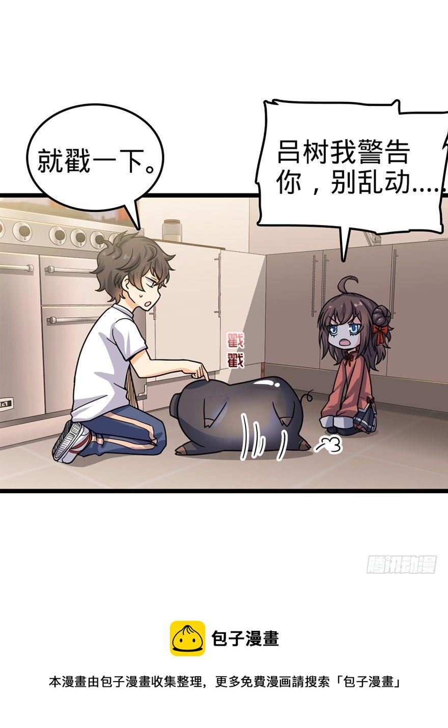 24 猪，快跟我回家~29