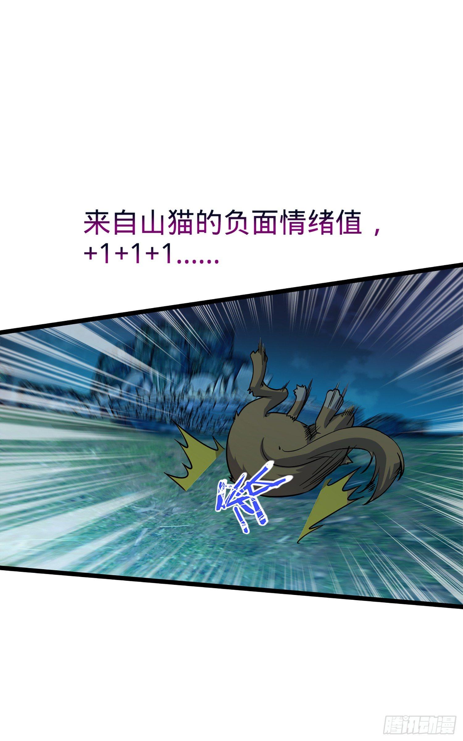 77 可怜的小动物们44