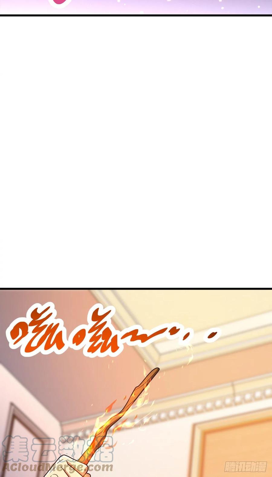 340 梧桐木15
