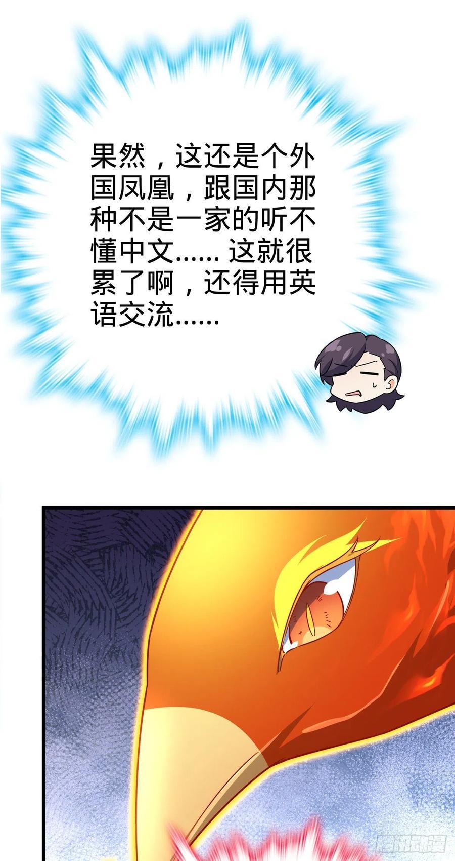 340 梧桐木44