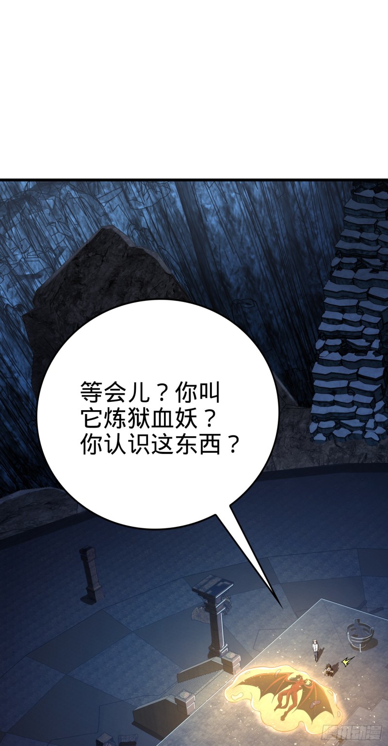 175 B级具现系1