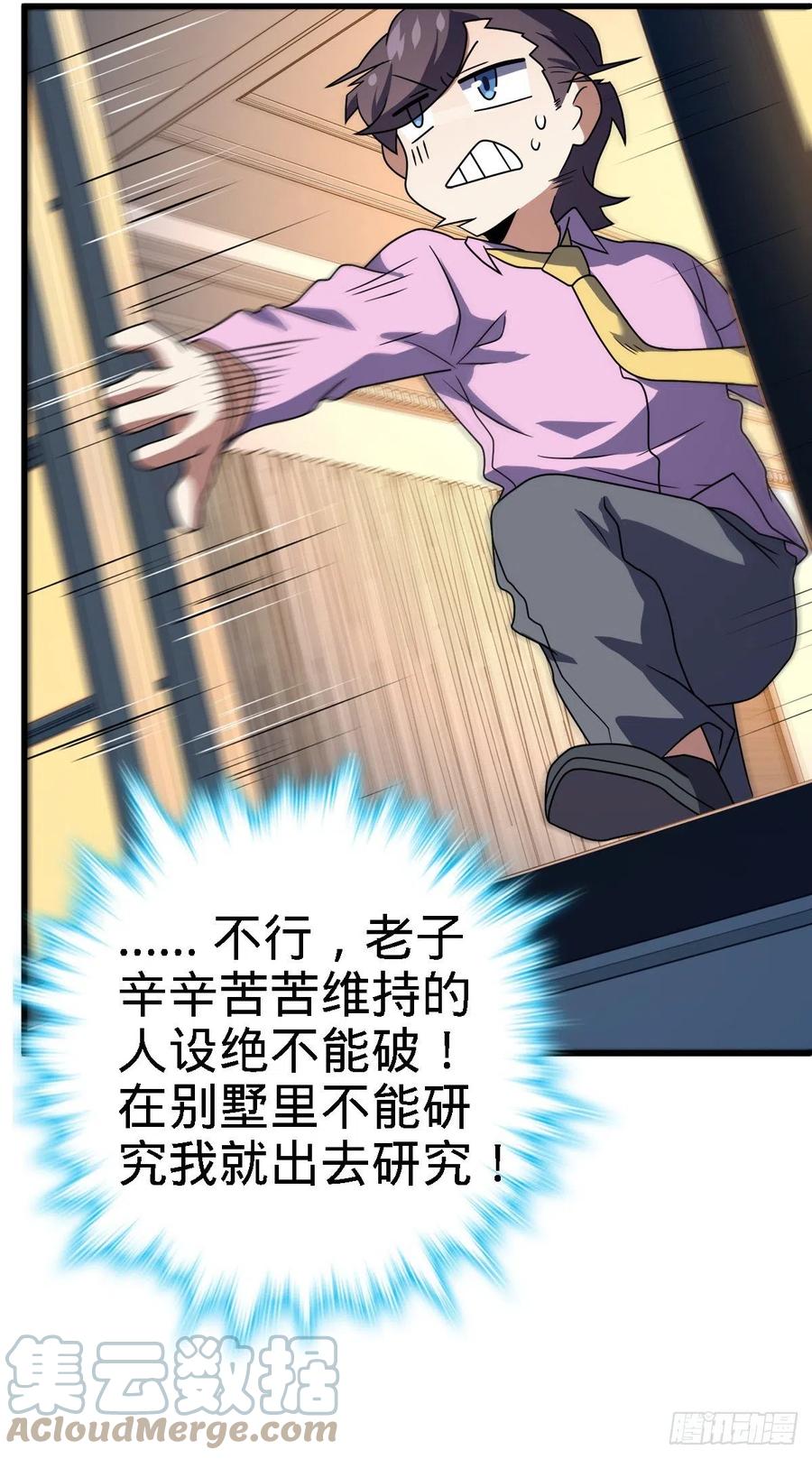 340 梧桐木21