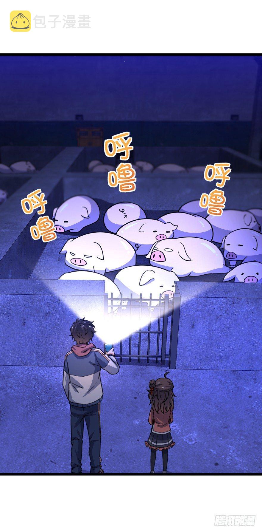 24 猪，快跟我回家~7