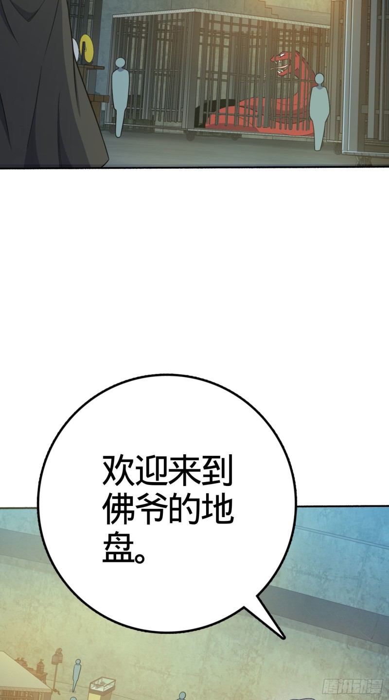 263 佛爷64