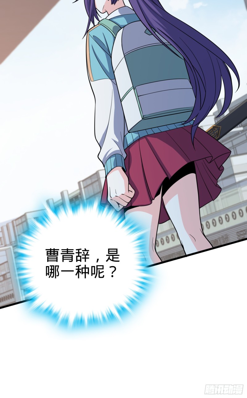 111 进京述职25