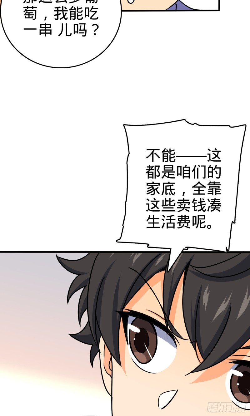122 这葡萄怎麽卖58