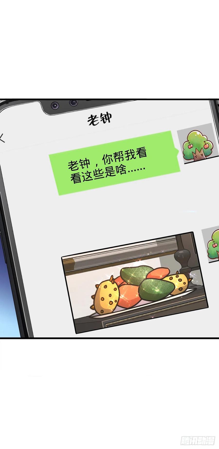 340 梧桐木5