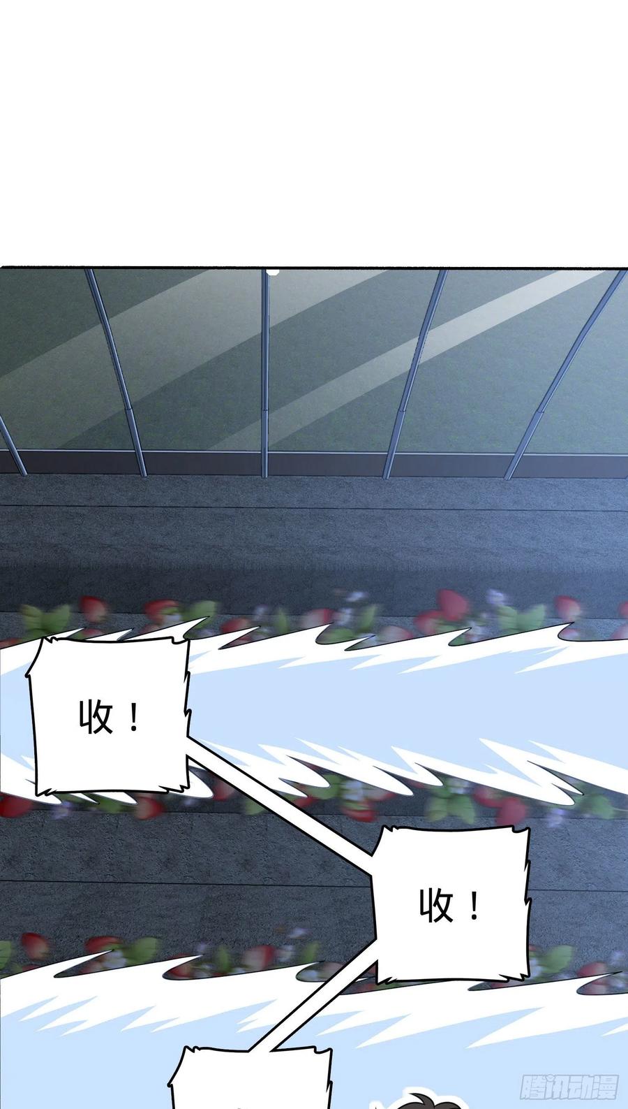 256 草莓计划44