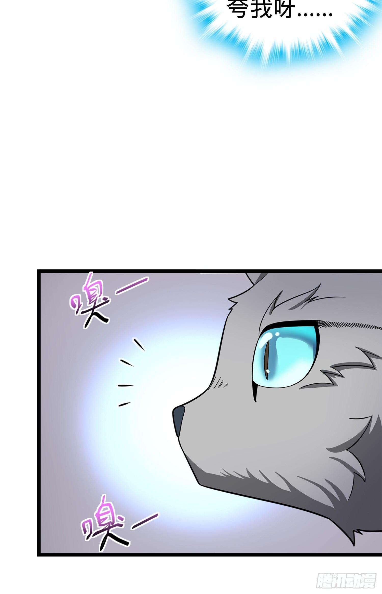 79 皮皮猪，我们走！45