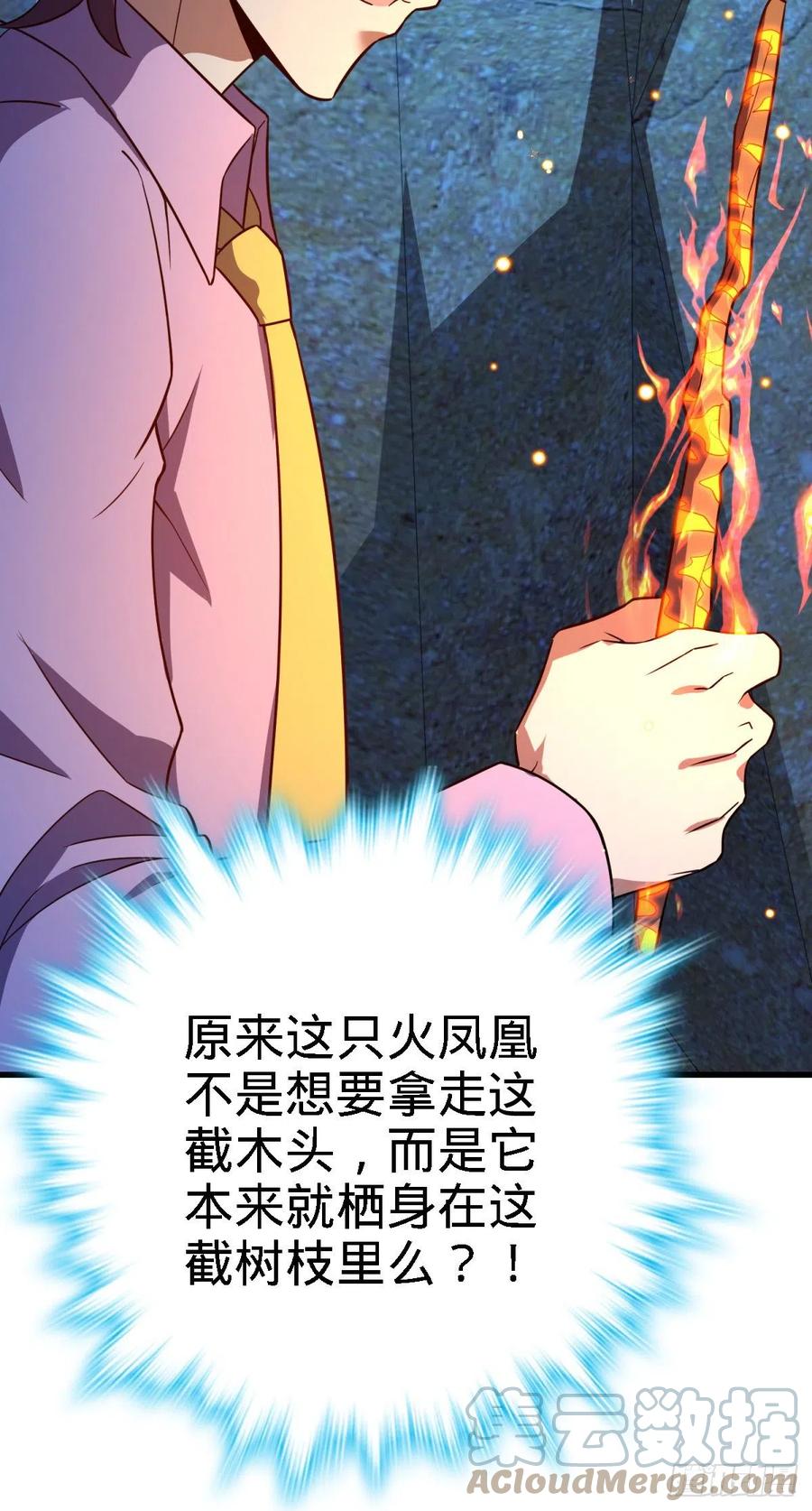 340 梧桐木67