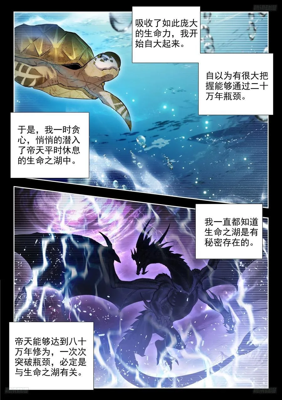 497 悲剧的黄金玳瑁9