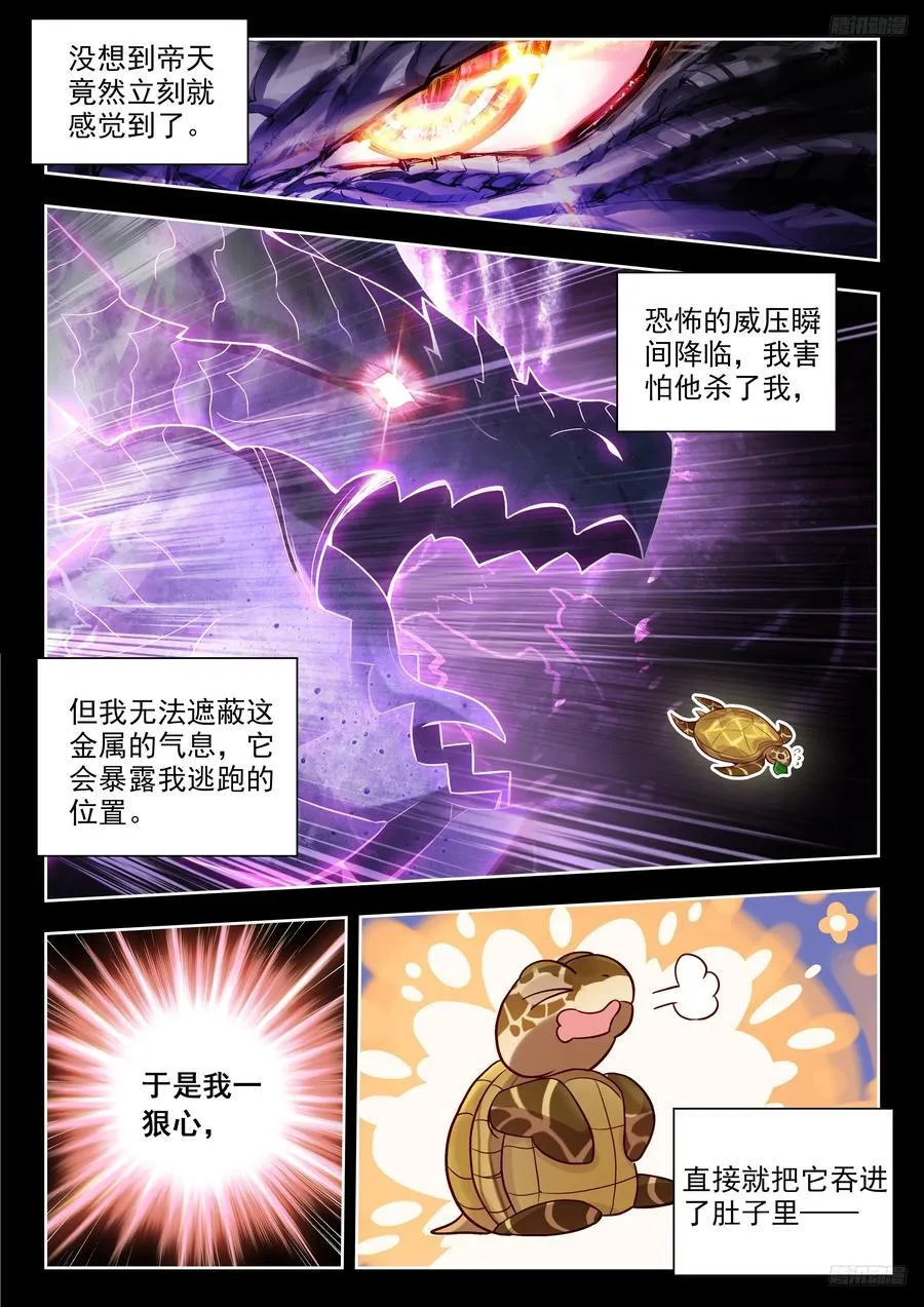 497 悲剧的黄金玳瑁11