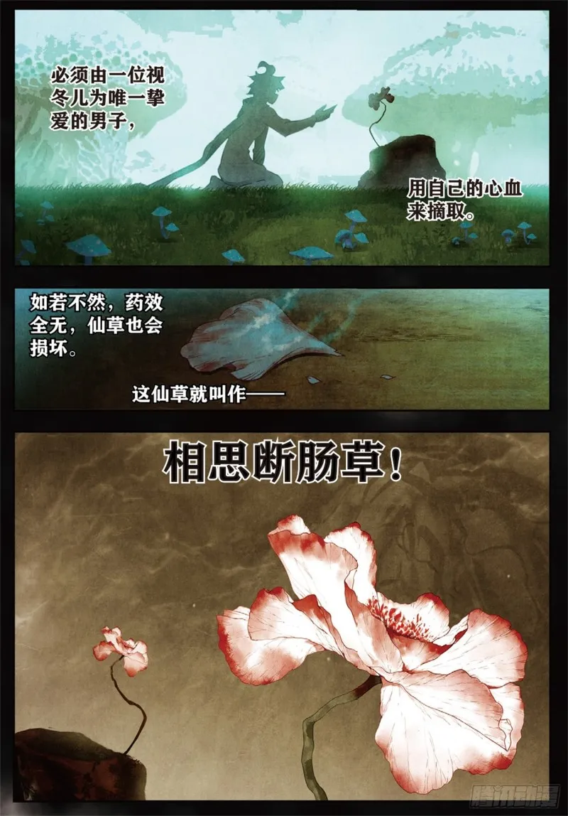 251 锦囊的真相11